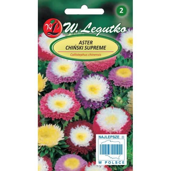 Asteres ķīnas pomponu...