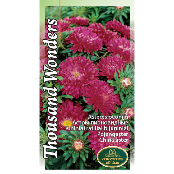 KS Asteres Thousand Wonders...