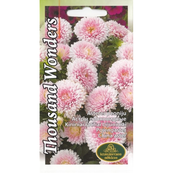 KS Asteres Thousand Wonders...