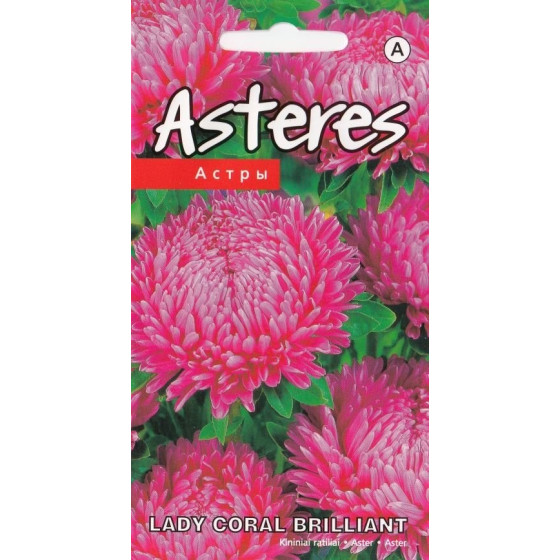 KS Asteres Lady Coral...