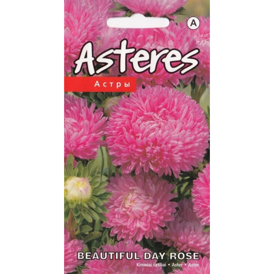 KS Asteres Beautiful Day...