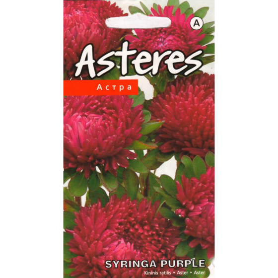 KS Asteres Syringa Purple 0.2g