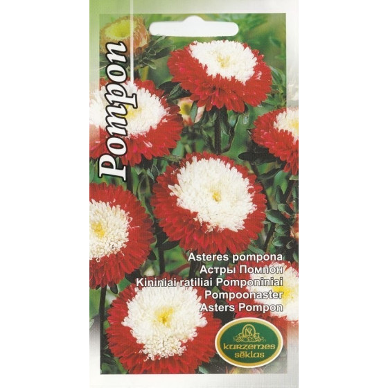 KS Asteres Pompona sarkanas...