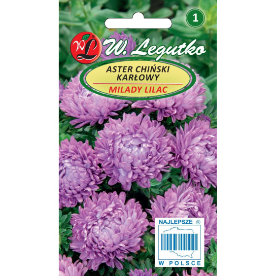 Asteres ķīnas zemās Milady...