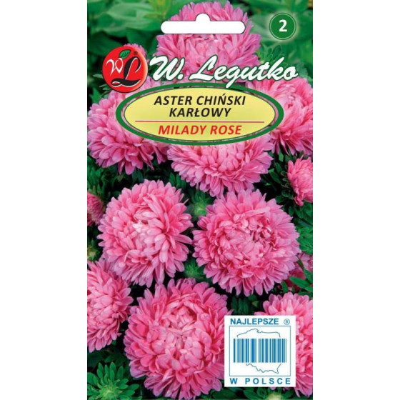 Asteres ķīnas zemās Milady...