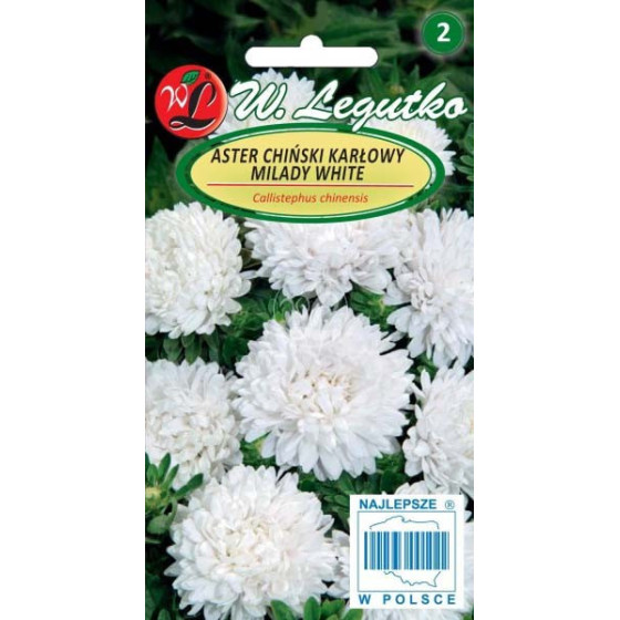 Asteres ķīnas zemās Milady...