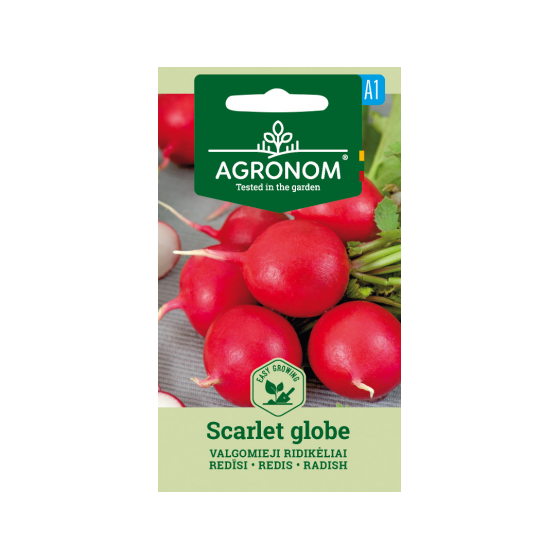 Redīsi SCARLET GLOBE 4g (A)