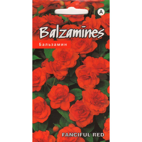 KS Balzamīnes FANCIFUL RED...