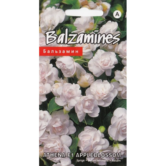 Balzamīnes ATHENA F1...