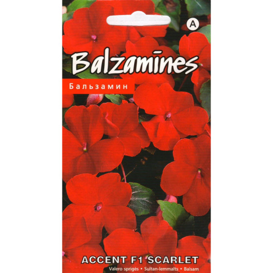 KS Balzamīnes Accent F1...