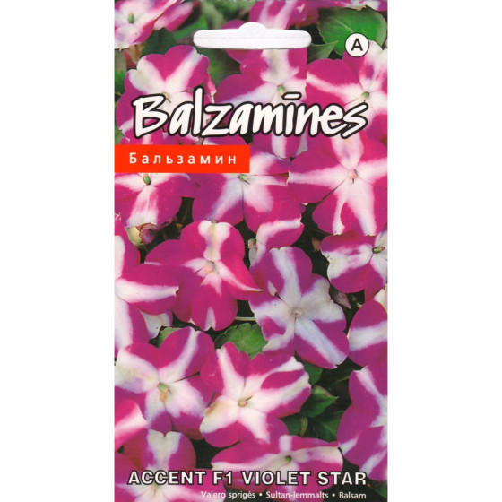 KS Balzamīnes Accent F1...