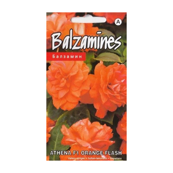 KS Balzamīnes Athena F1...