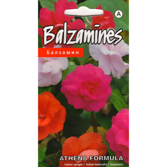 KS Balzamīnes Athena...