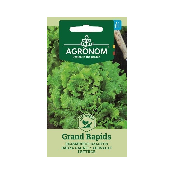 Salāti GRAND RAPIDS 2g