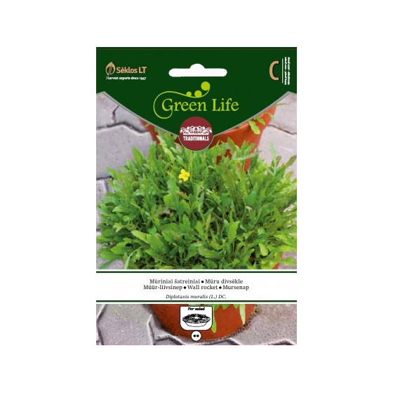 Mūru divsēkle WALL ROCKET 0,5g