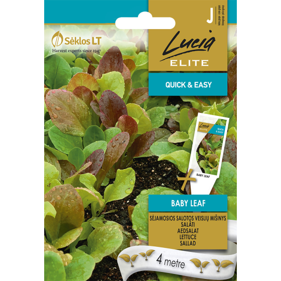 SALĀTI BABY LEAF MIX LE 4m