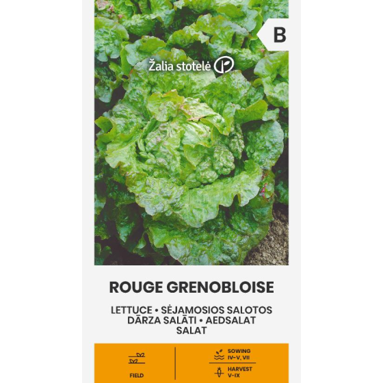 Salāti ROUGE GRENOBLOISE 1g