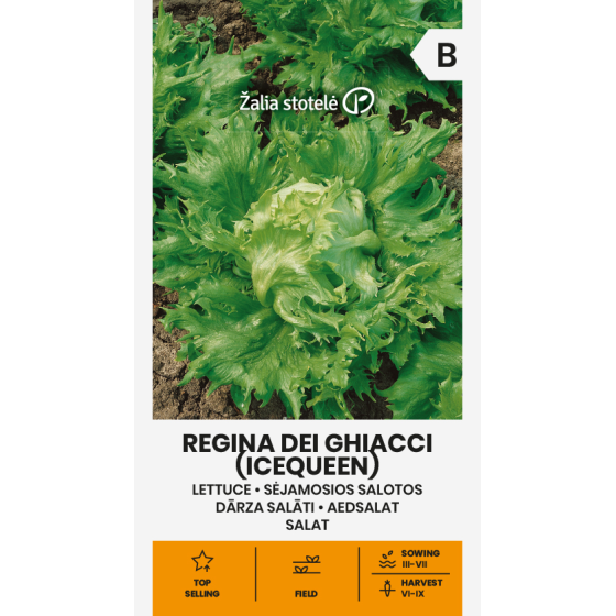 Salāti REGINA DEI GHIACCI 1g