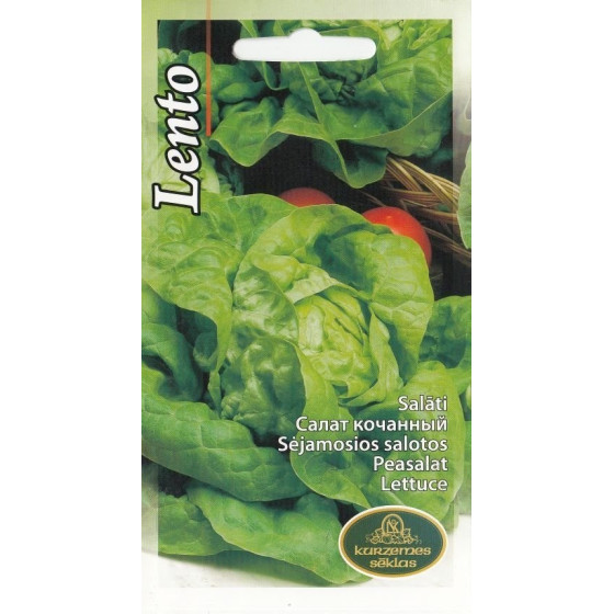 KS Salāti galviņu Lento 1g