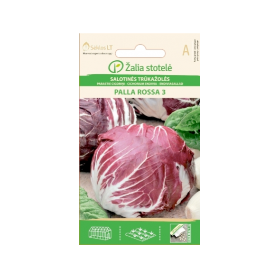 Cigoriņi parastie PALLА...