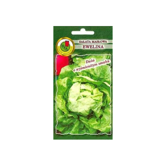 Salāti galviņu Ewelina 1g