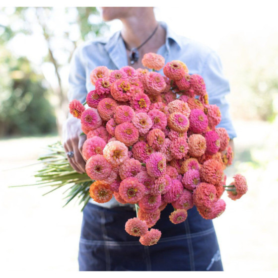 Cinnijas gleznās Oklahoma...