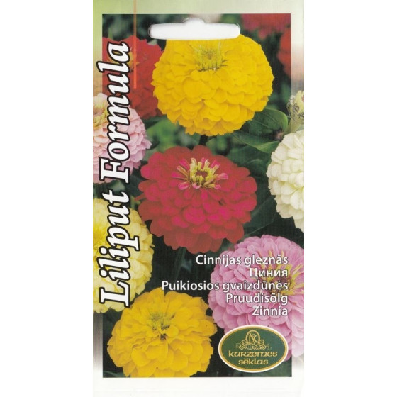 KS Cinnijas Liliput Formula 1g