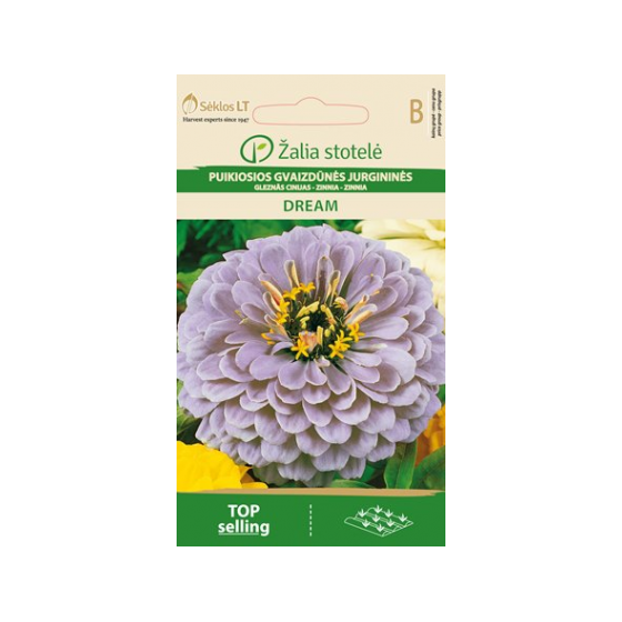 Cinnijas dāliju DREAM 1g