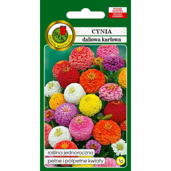 Cinnijas dāliju Cupido Mix 1g