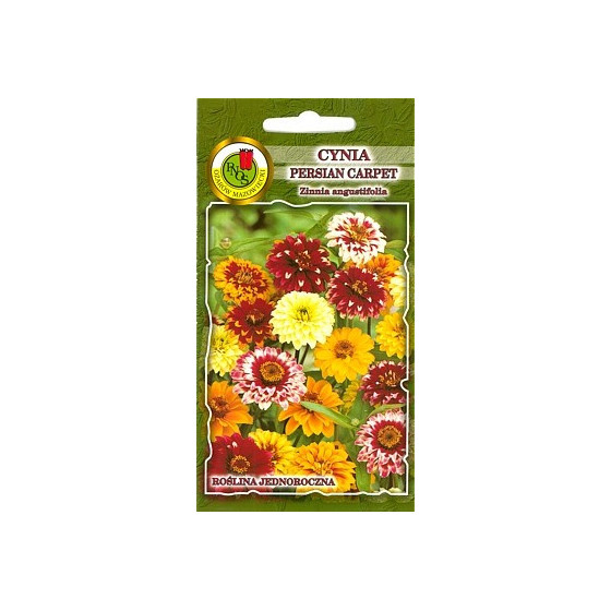 Cinnijas šaurlapu Persian...