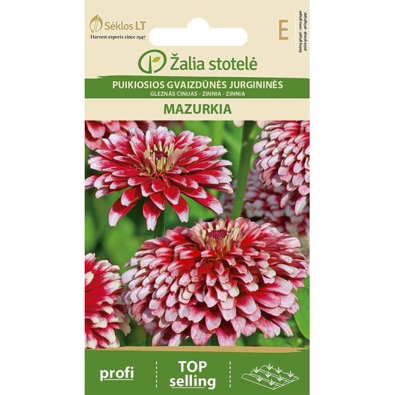 Cinnijas gleznās Mazurkia 0,5g