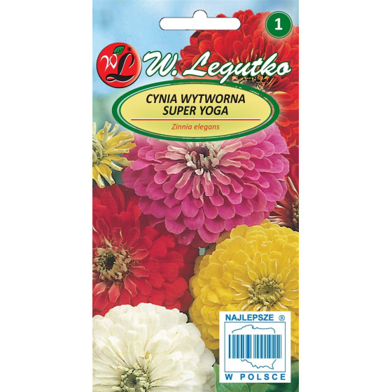 Cinnijas gleznās Super Yoga...