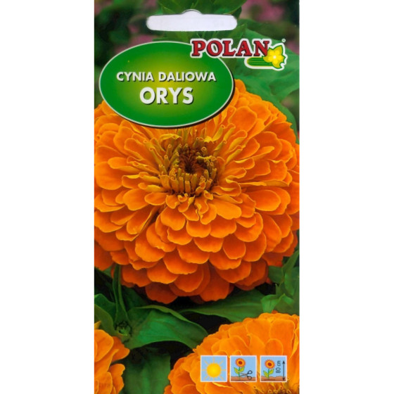 Cinnija Orys, dzeltena 1g*