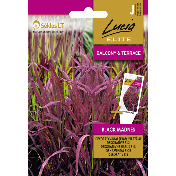 Dekoratīivie rīsi Black...