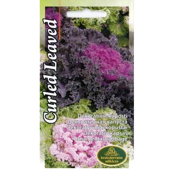 KS Kāposti dekoratīvie...