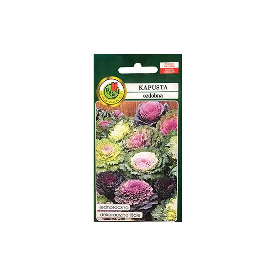 Kāposti dekoratīvie