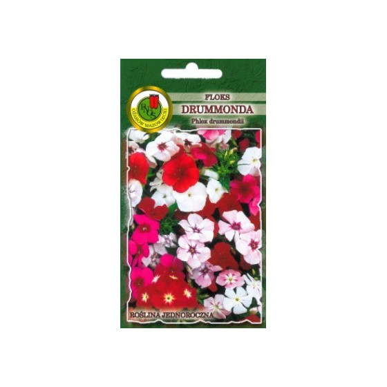 Floksis drumonda Mix