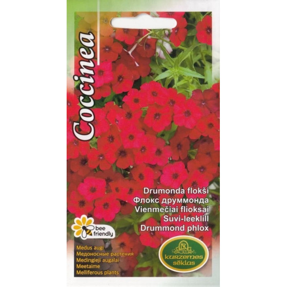 KS Drumonda flokši Coccinea...
