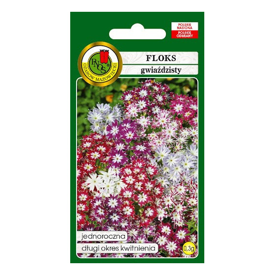 Floksis drumonda zvaigžņveida