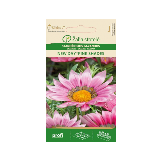 Gazānijas New day Pink Shades