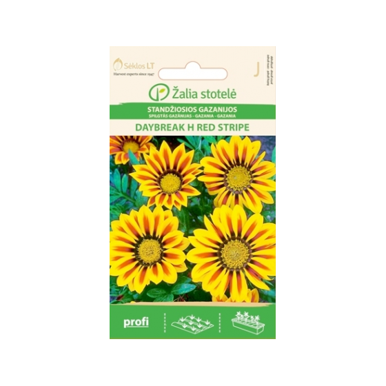 Gazānijas DAYBREAK H RED