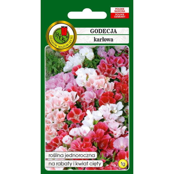 Godēcija lielziedu (zema...