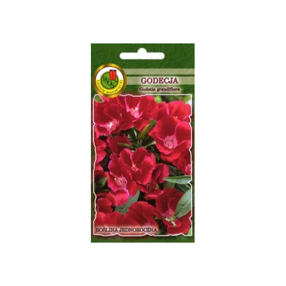 Godēcija sarkana lielziedu