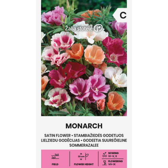 Godēcijas lielziedu MONARCH...