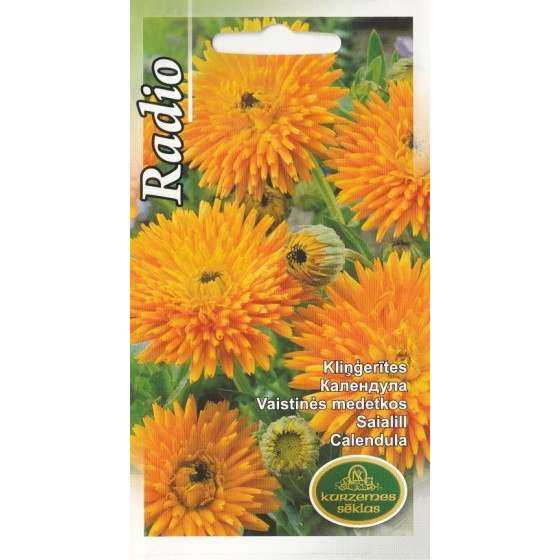 KS Kliņģerītes Radio 2g