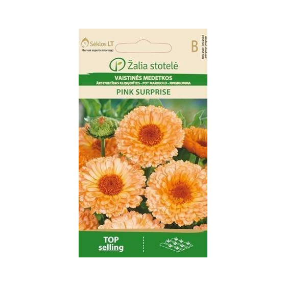 Kliņģerītes Pink Surprise