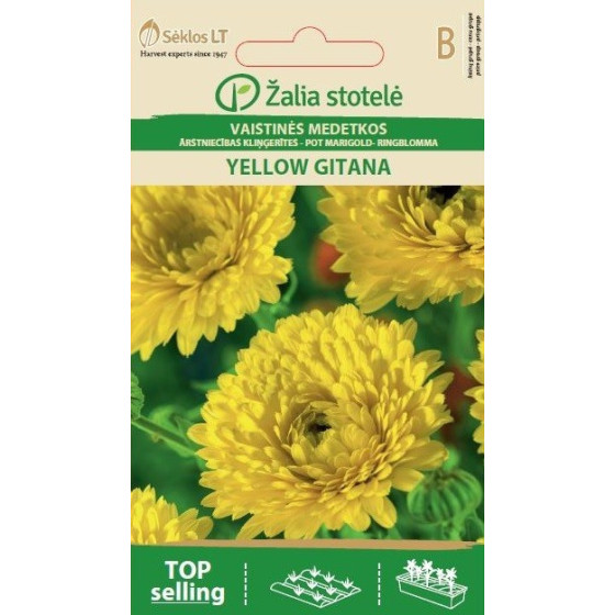 Kliņģerītes Yellow Gitana