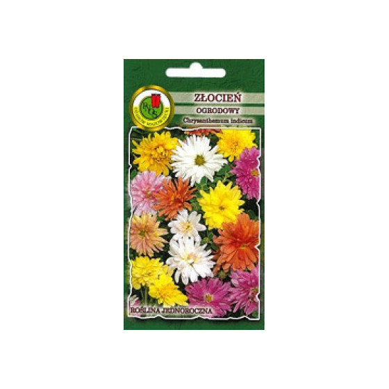 Krizantēma Indijas Mix