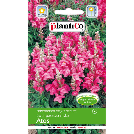 Lauvmutītes zemās ATOS 0,5g*