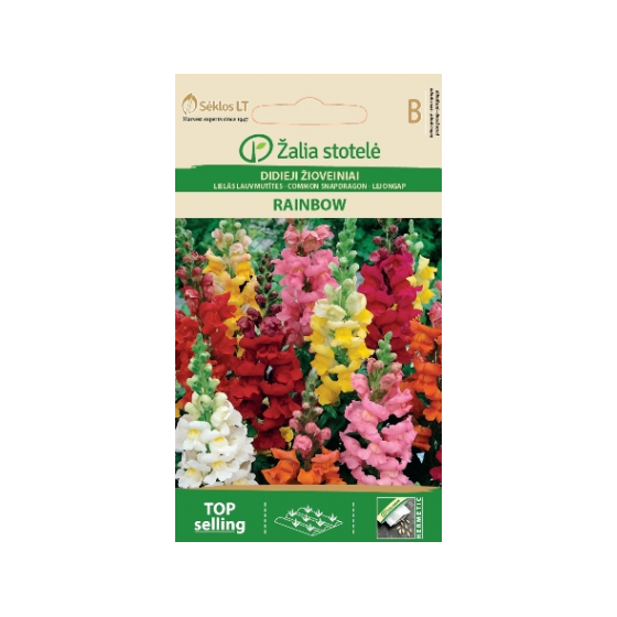 Lauvmutītes RAINBOW